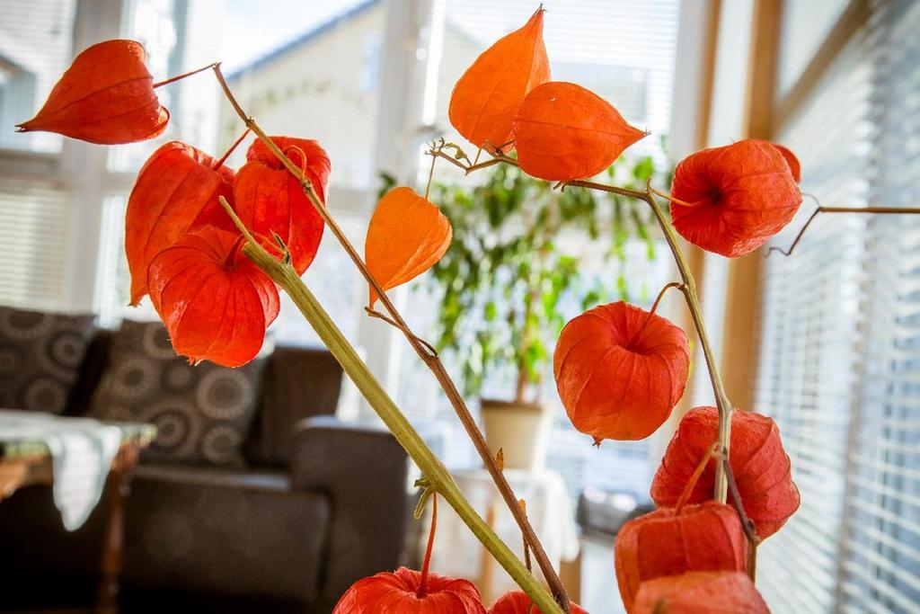 Ferienwohnung "Gaby" Freyung Exteriér fotografie